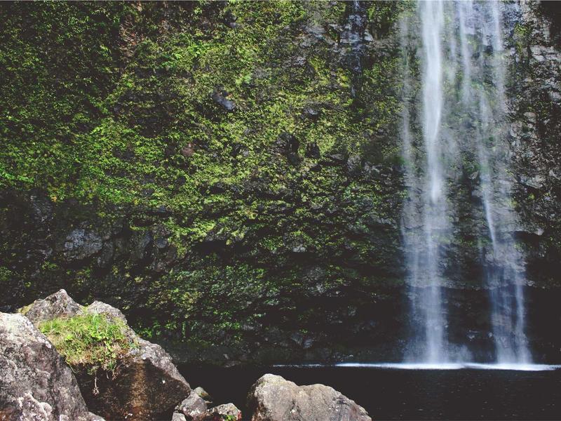 sudoku brain exercise screenshot 3